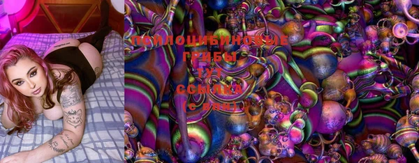 PSILOCYBIN Армянск