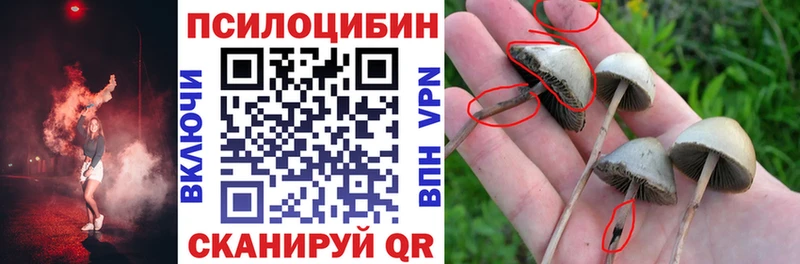 Псилоцибиновые грибы MAGIC MUSHROOMS  Орлов 